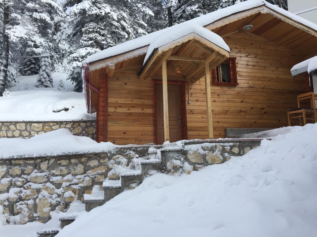 Ilgaz Derbent Hotel 客房 照片
