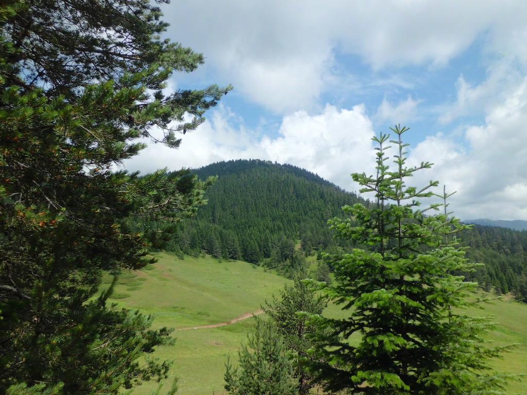 Ilgaz Derbent Hotel 外观 照片